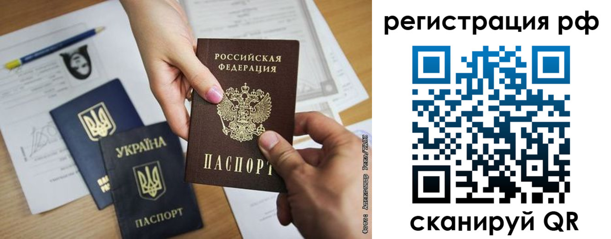 прописка 2025 в Щёкино